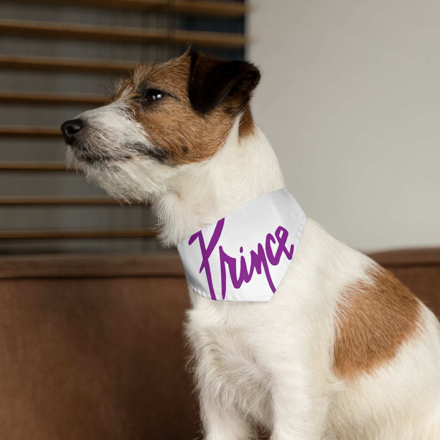 Prince-Inspired Art Rock and Roll Bandana- Pet - Dog - Cat - Bandana Collar - Dog bandanas - Cat Bandanas - bandanas - prince - purple rain - prince ban