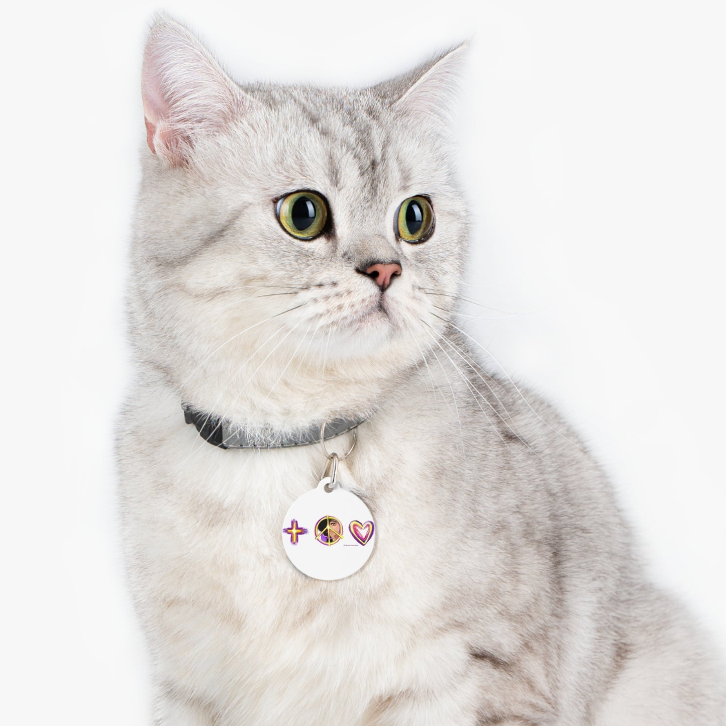 Metal - Pet Tag - Pet charm - Pet gift - dog charm - cat charm - cat tag - dog jewelry - cat jewelry - Prince - Prince charm