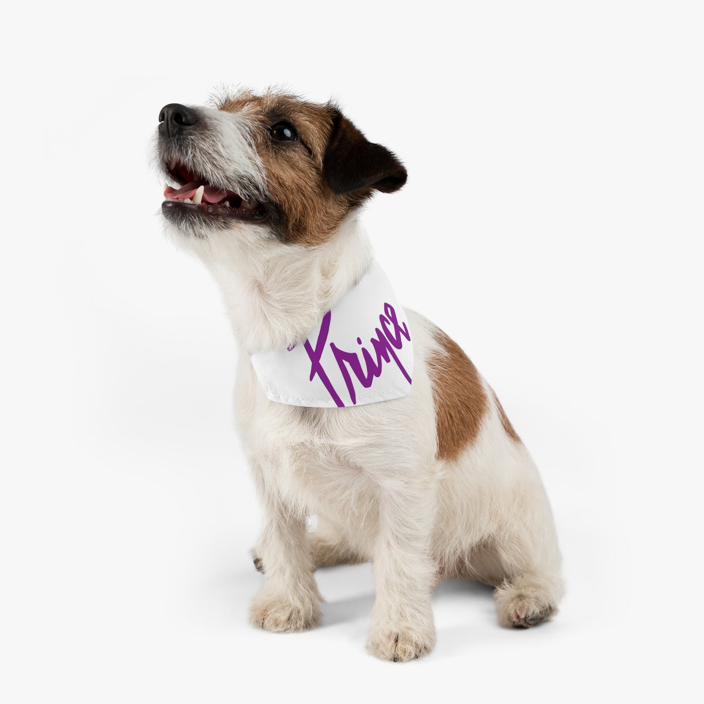 Prince-Inspired Art Rock and Roll Bandana- Pet - Dog - Cat - Bandana Collar - Dog bandanas - Cat Bandanas - bandanas - prince - purple rain - prince ban