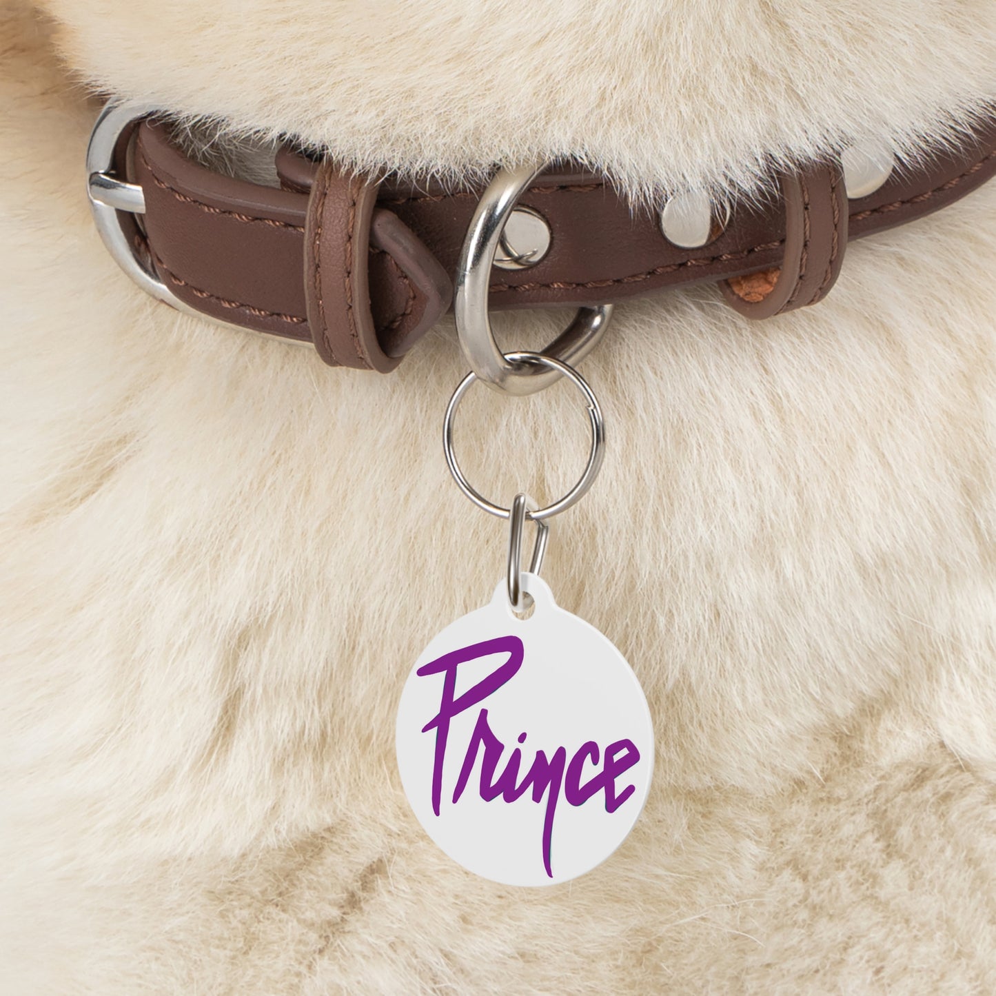Metal - Pet Tag - Pet charm - Pet gift - dog charm - cat charm - cat tag - dog jewelry - cat jewelry - Prince - Prince charm -