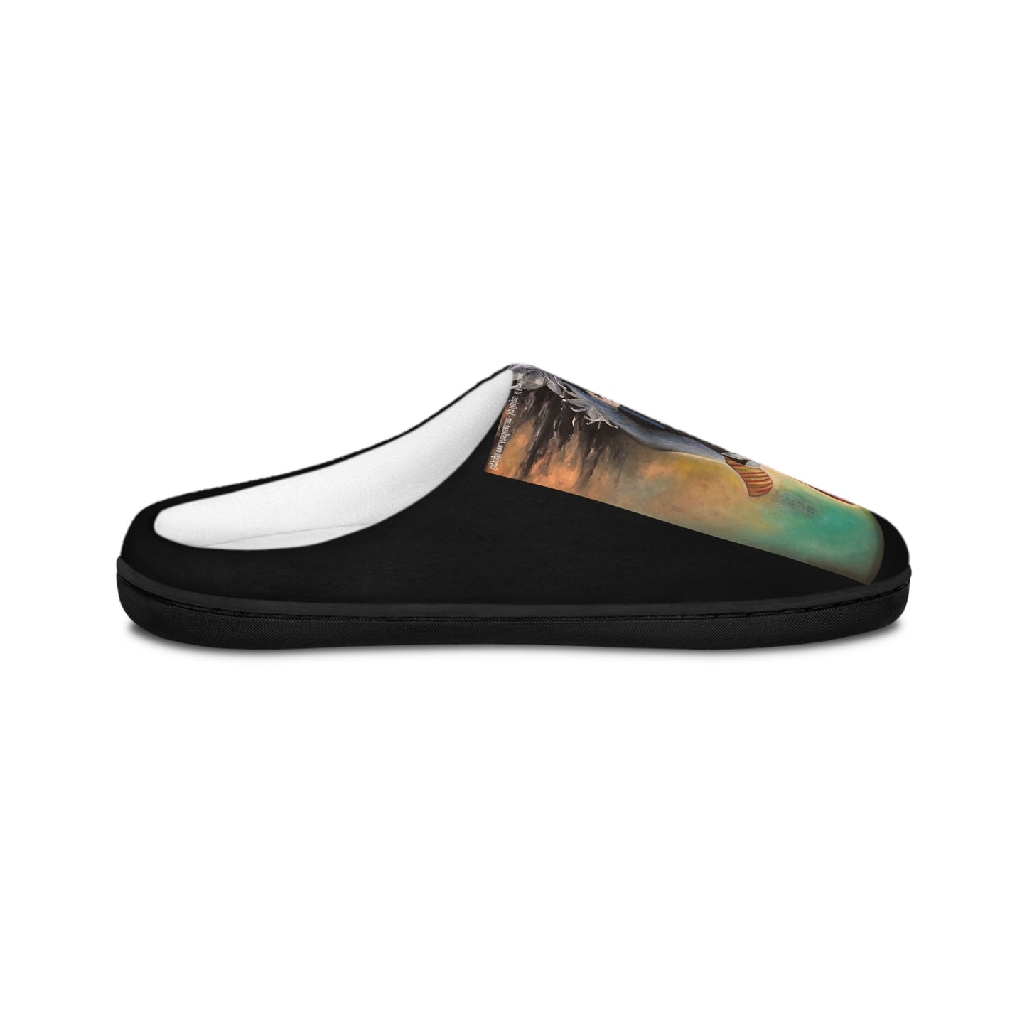 Bowie inspired -Original Art by SCP Men's slippers