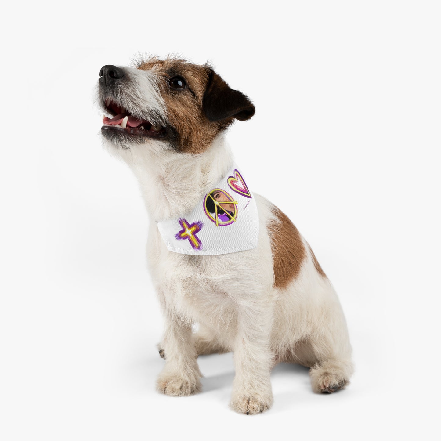 Prince inspired sign of the times bandana - Rock and Roll - Pet - Dog - Cat - Bandana Collar - Dog bandanas - Cat Bandanas - bandanas - prince - purple rain - prince ban