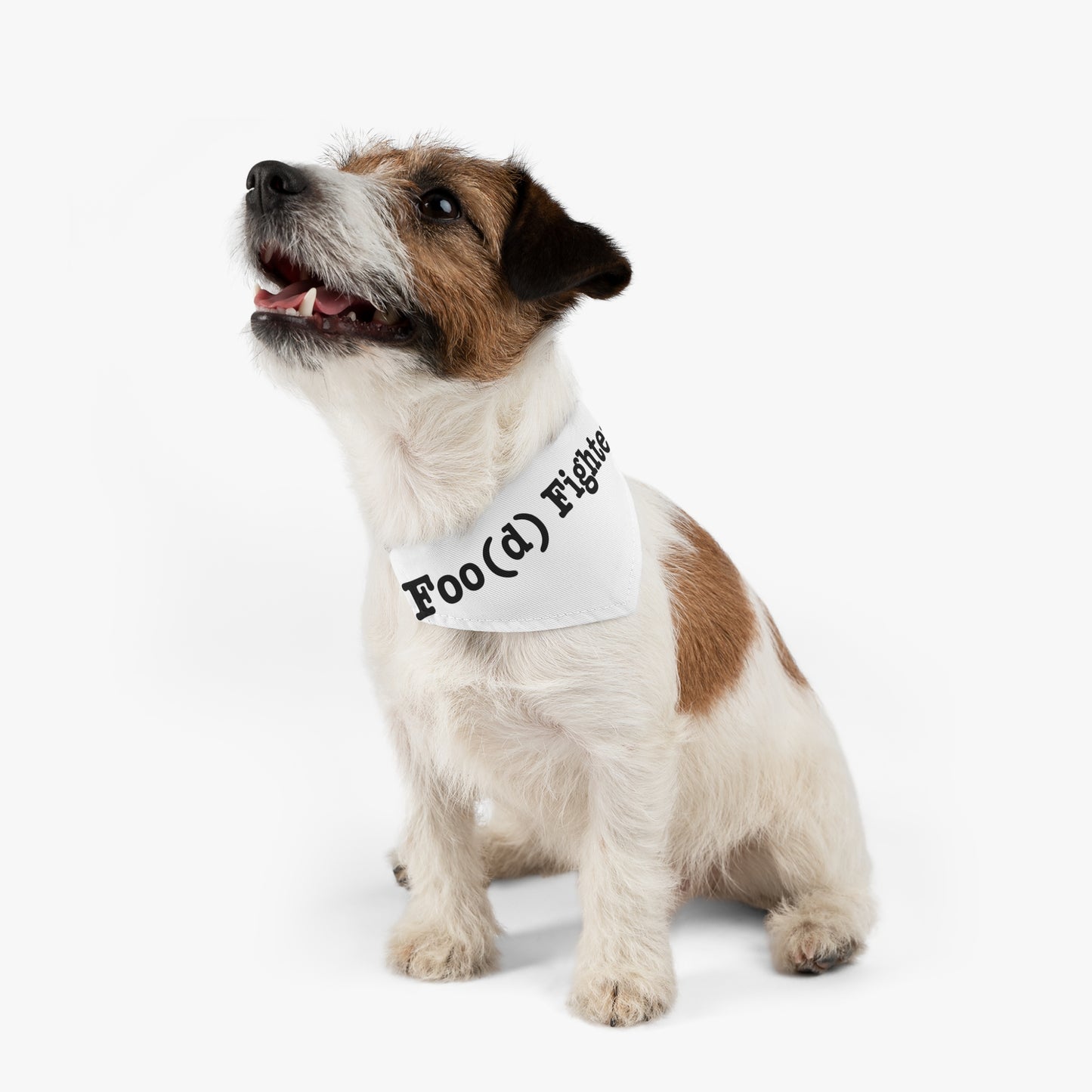 Foo Fighter Inspired - Food Fighter- Foo Fighter inspired bandana - Pet - Dog - Cat - Bandana Collar - Dog bandanas - Cat Bandanas - bandanas