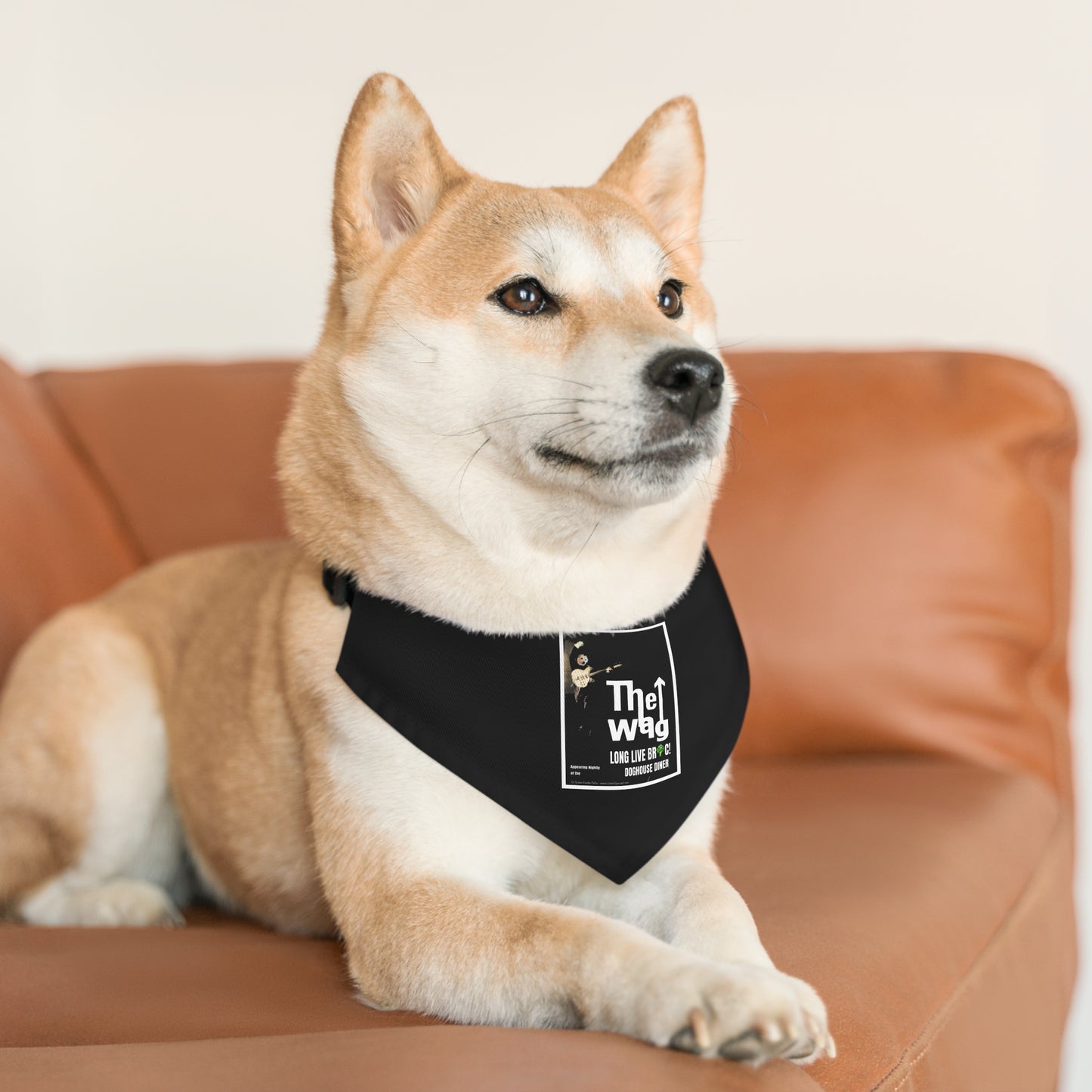 Sir Brennan Who Inspired bandana - Rock and roll Pet - Dog - Cat - The Who - Bandana Collar - Dog bandanas - Cat Bandanas - Custom bandanas - Daltrey - Townsend