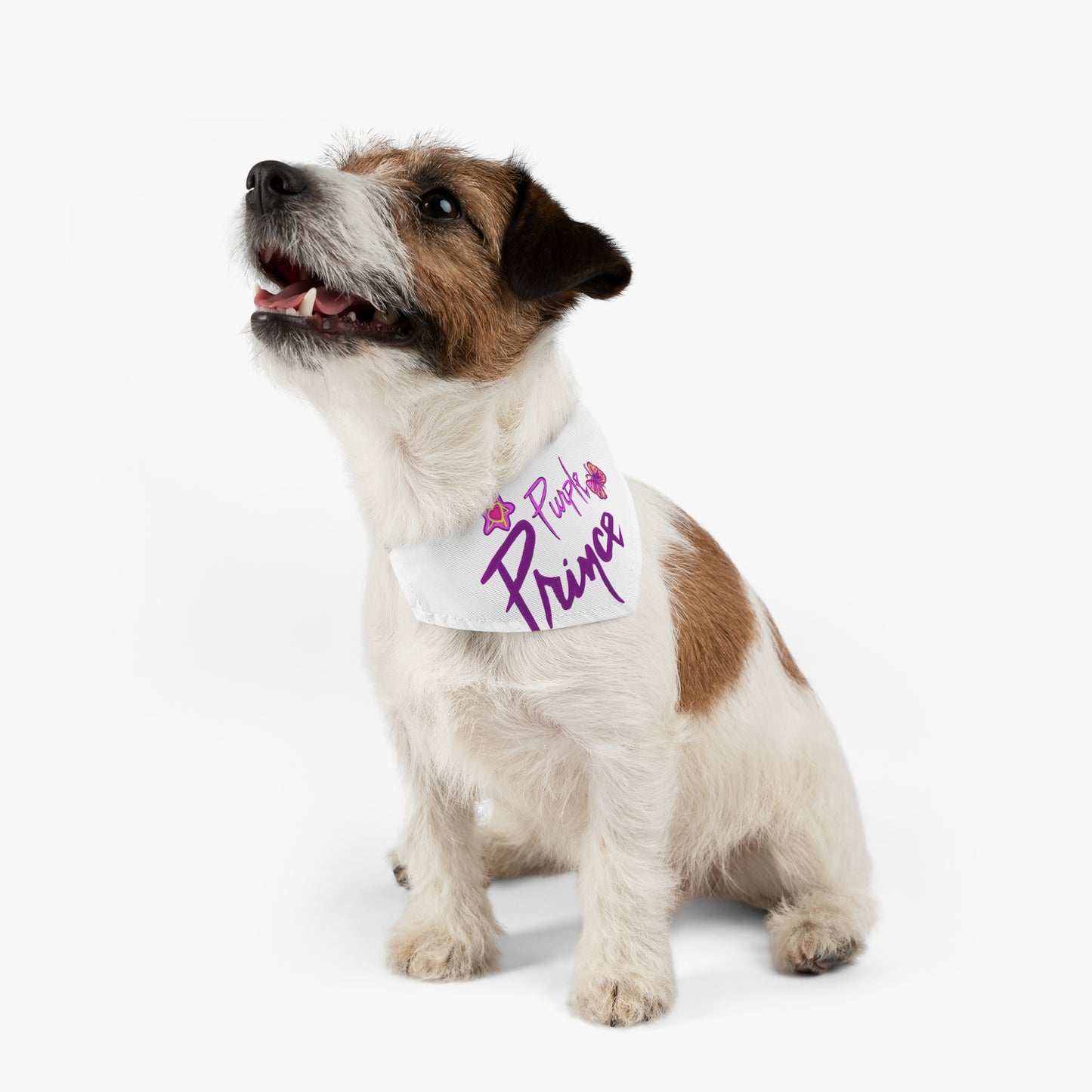 Prince-Inspired Art Rock and Roll Bandana Collar - Pet - Dog - Cat - Bandana Collar - Dog bandanas - Cat Bandanas - bandanas - prince - purple rain - prince ban