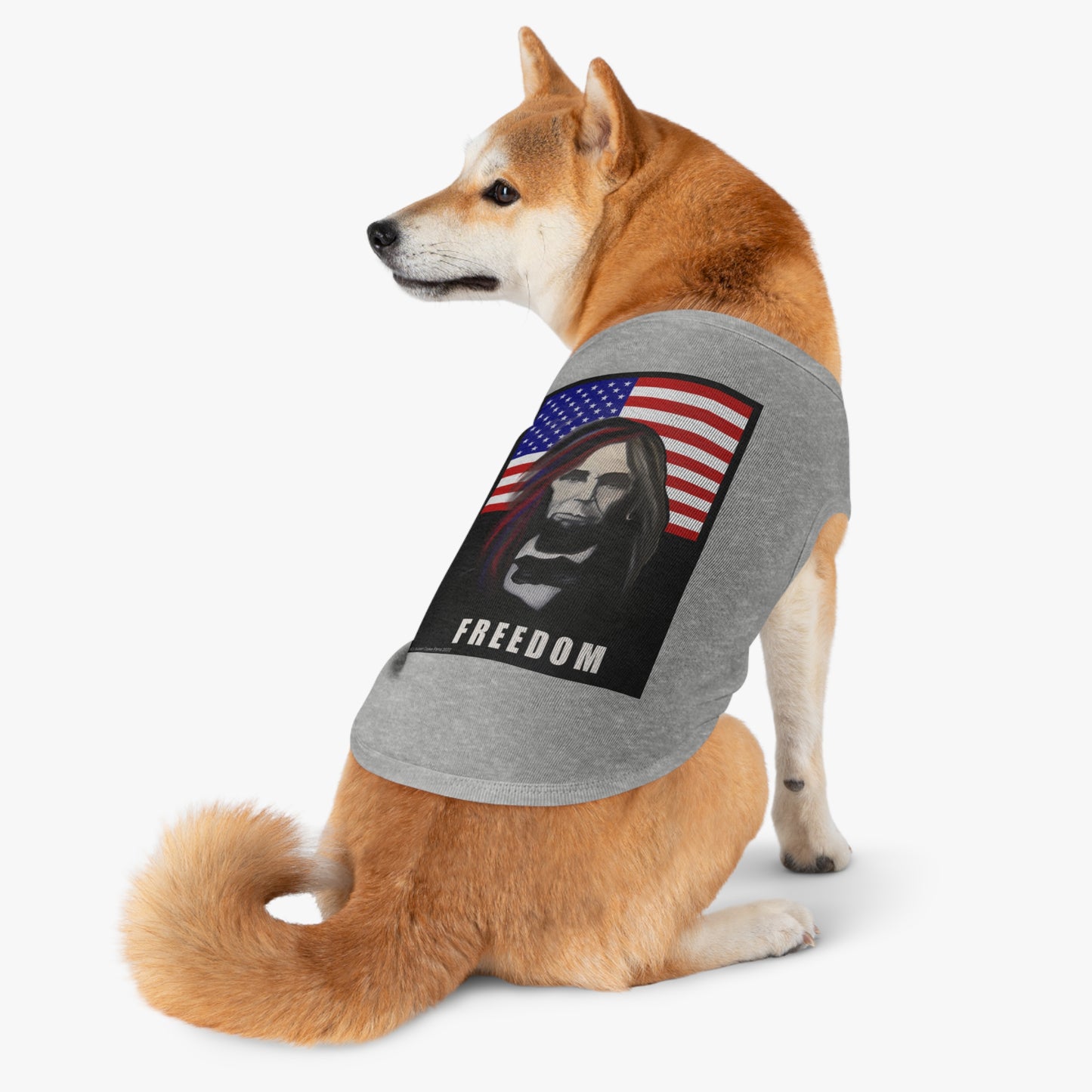 Patriotic - Long-Haired Lincoln Pet T shirt