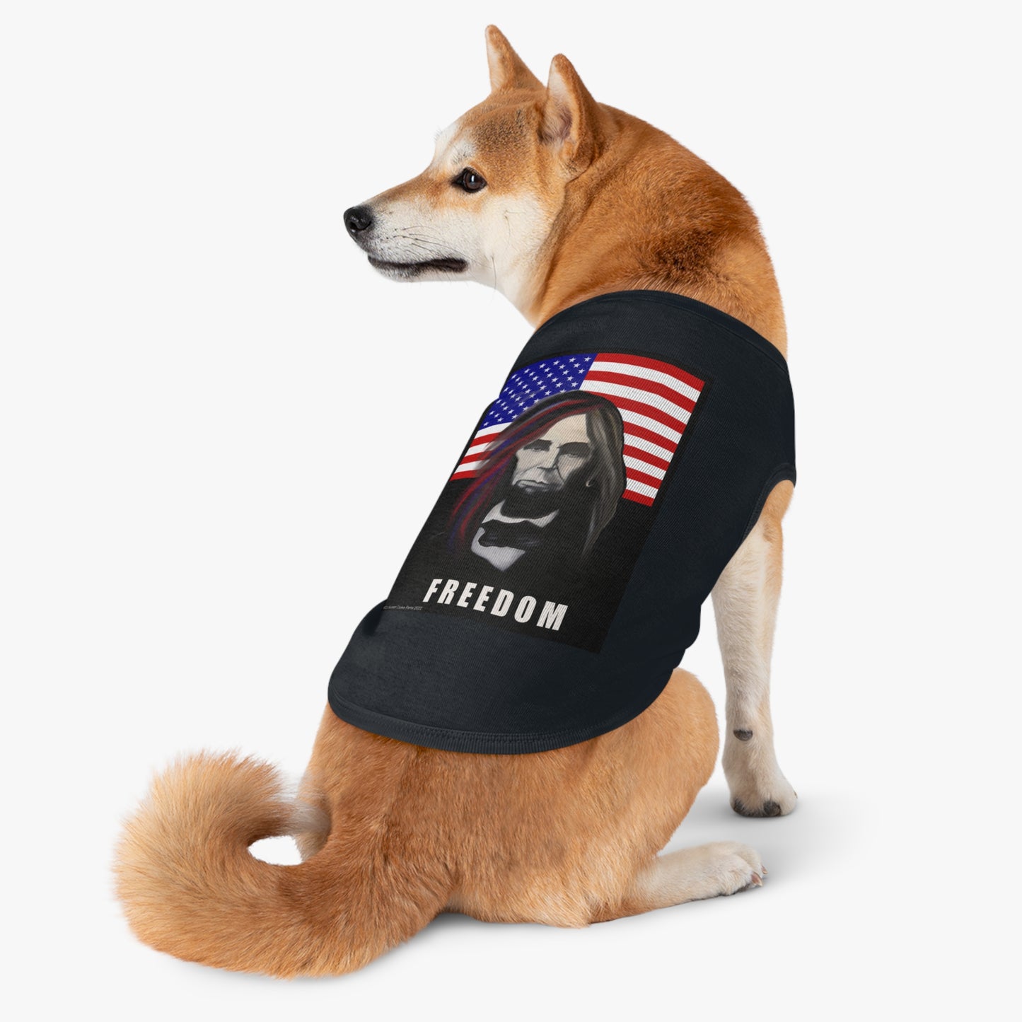 Patriotic - Long-Haired Lincoln Pet T shirt