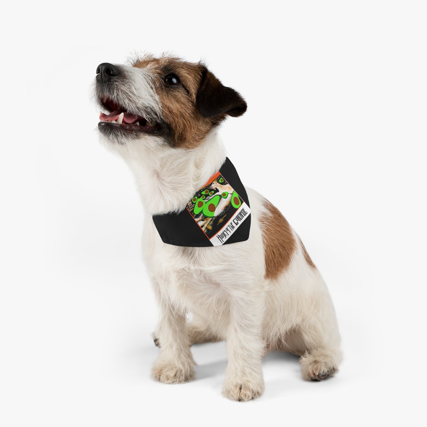 Sir Brennan Rock and roll Pet - Dog - Cat - Bandana Collar - Dog bandanas - Cat Bandanas - Custom pet bandanas - Led Zeppelin - Robert plant