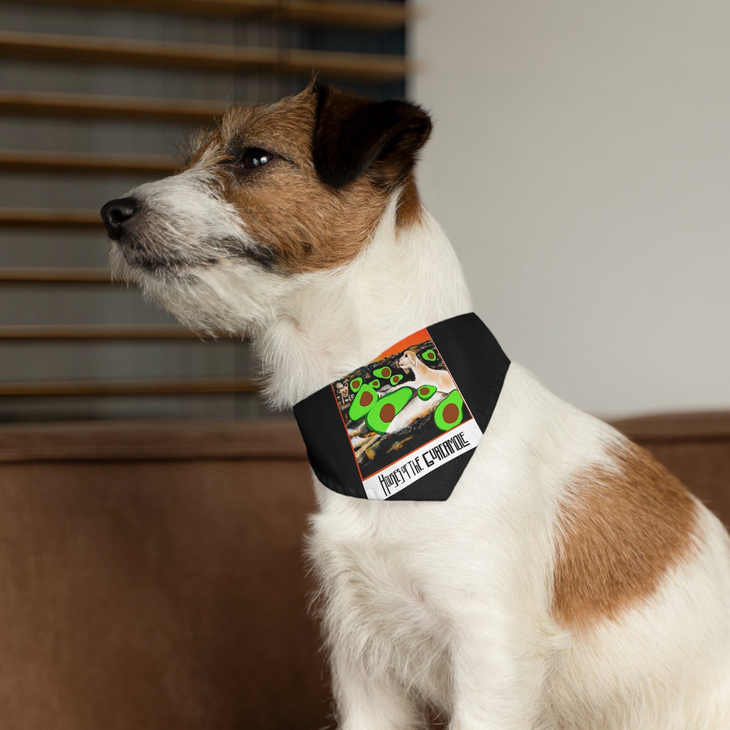 Sir Brennan Rock and roll Pet - Dog - Cat - Bandana Collar - Dog bandanas - Cat Bandanas - Custom pet bandanas - Led Zeppelin - Robert plant