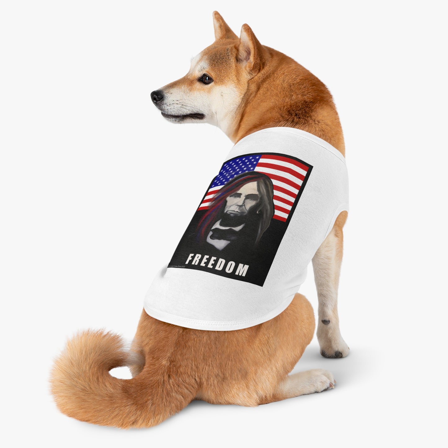 Patriotic - Long-Haired Lincoln Pet T shirt