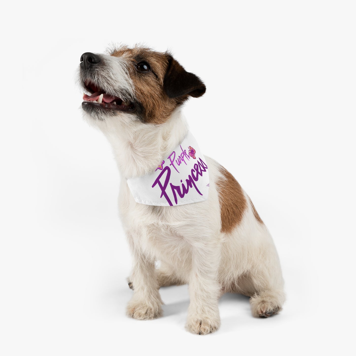 Prince Inspired Purple Princess - Pet - Dog -Cat - Bandana Collar - Dog bandanas - Cat Bandanas - bandanas - prince - purple rain - prince ban