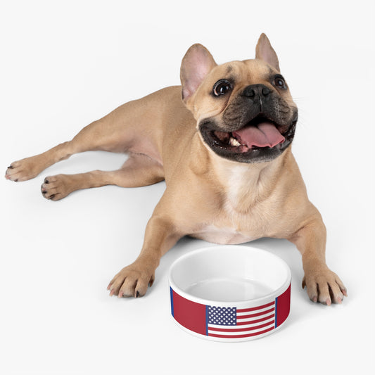 American flag dog bowl - American flag - patriotic - American dog - pet food bowl - Pet Bowl - Dog Bowl - Cat Bowl - patriotic pet