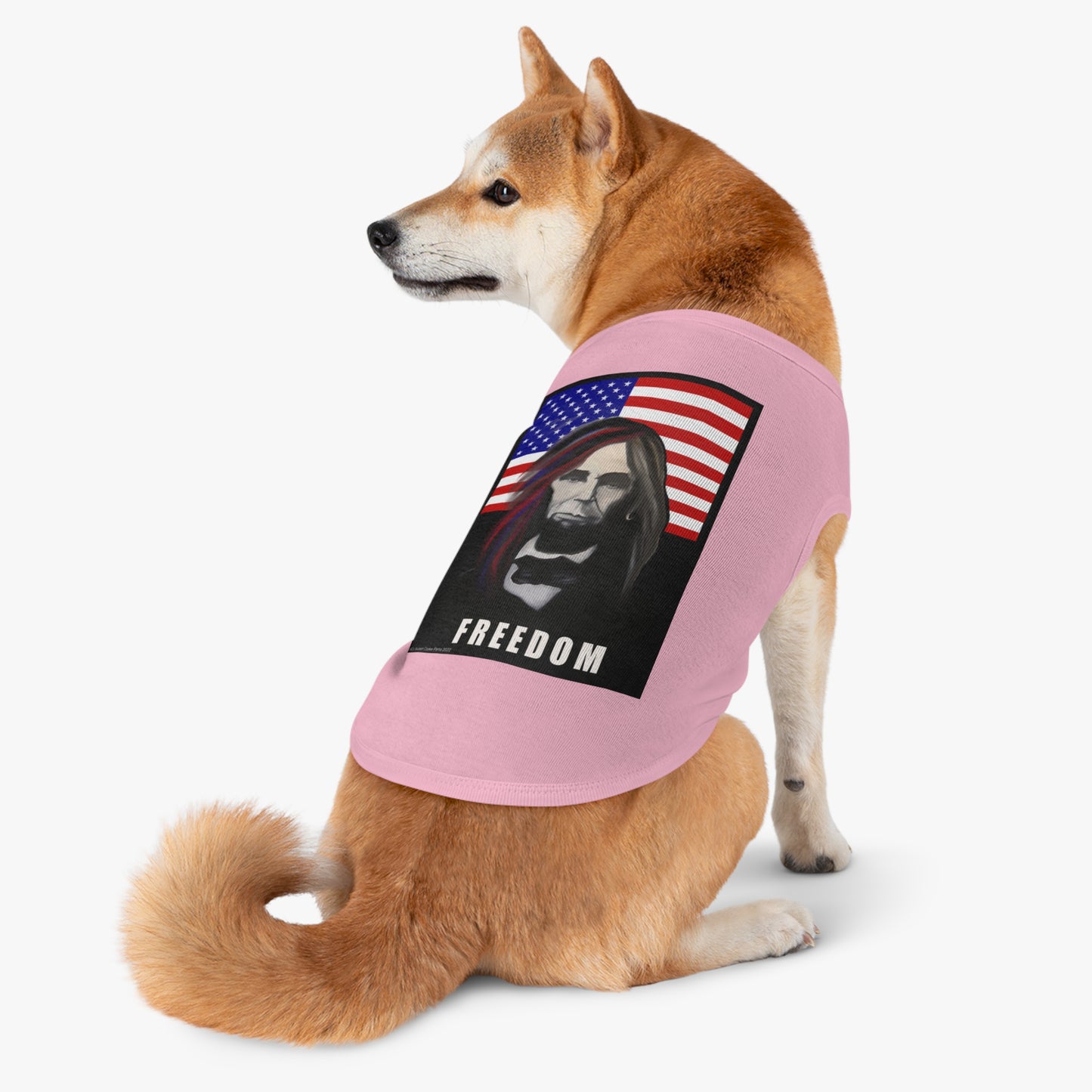 Patriotic - Long-Haired Lincoln Pet T shirt